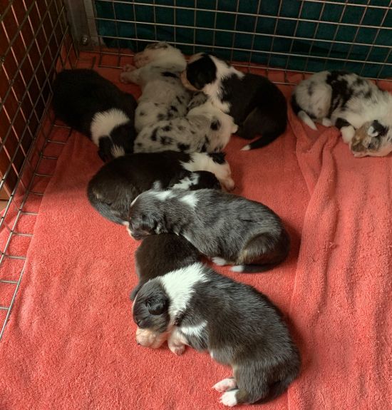 2 modif aujourd'hui !