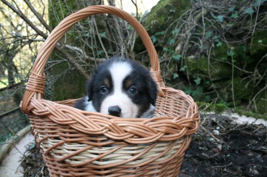 Je sais ! c' est pas bien !!