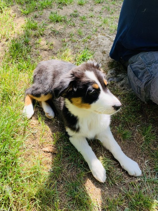 Je suis la dernière !!Black est parti!